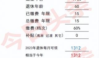 2023年灵活就业缴费档次